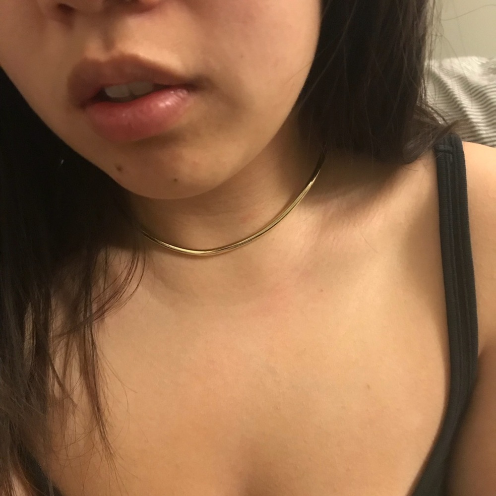 Simple Choker Necklace